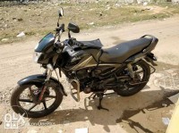 Black Honda CB Shine