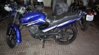 Blue Yamaha Gladiator