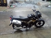 Black With Gold Ribs Mahindra Centuro