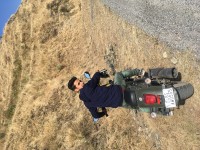 Green Matt UM Renegade Commando