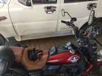 Burgandy Shine UM Renegade Commando