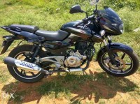 Black Bajaj Pulsar 180 DTSi