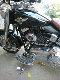 Black Harley Davidson FLSTF Fat Boy