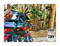 Cock W Red Bajaj Pulsar 220 DTSFi