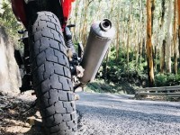 Cock W Red Bajaj Pulsar 220 DTSFi