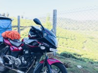Cock W Red Bajaj Pulsar 220 DTSFi