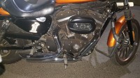 Amber Colour Harley Davidson Iron 883