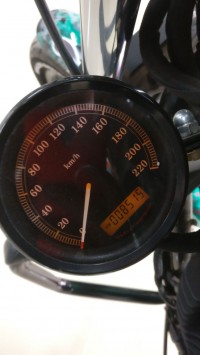 Amber Colour Harley Davidson Iron 883