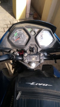 Blue Honda Livo 110