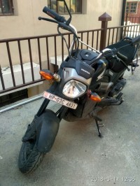 Honda Navi