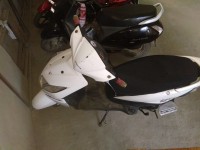 White Honda Dio