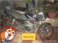 Black And Red Honda CB Shine