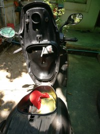 Hero Maestro 2015 Model