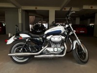 White With Blue Line Harley Davidson XL 883L Sportster