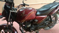 Meroon Honda CB Shine