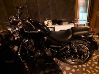 Royal Enfield Thunderbird