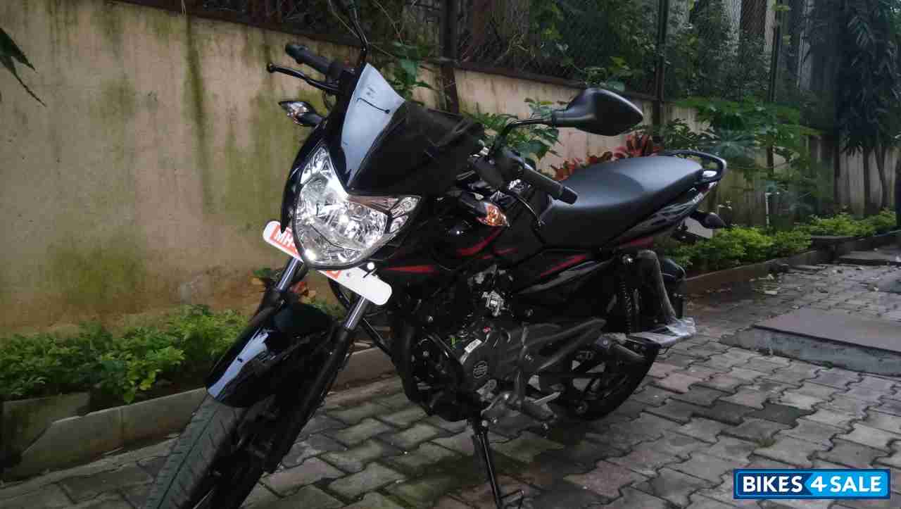 Bony Black Bajaj Pulsar 135LS