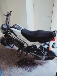 Honda Navi Adventure
