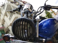 Blue Bajaj Avenger 220 DTS-i