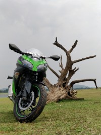 Kawasaki Ninja 300R 2017 Model