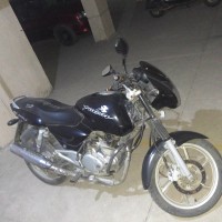 Black Bajaj Pulsar 150 DTSi