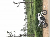 White Suzuki Gixxer 150