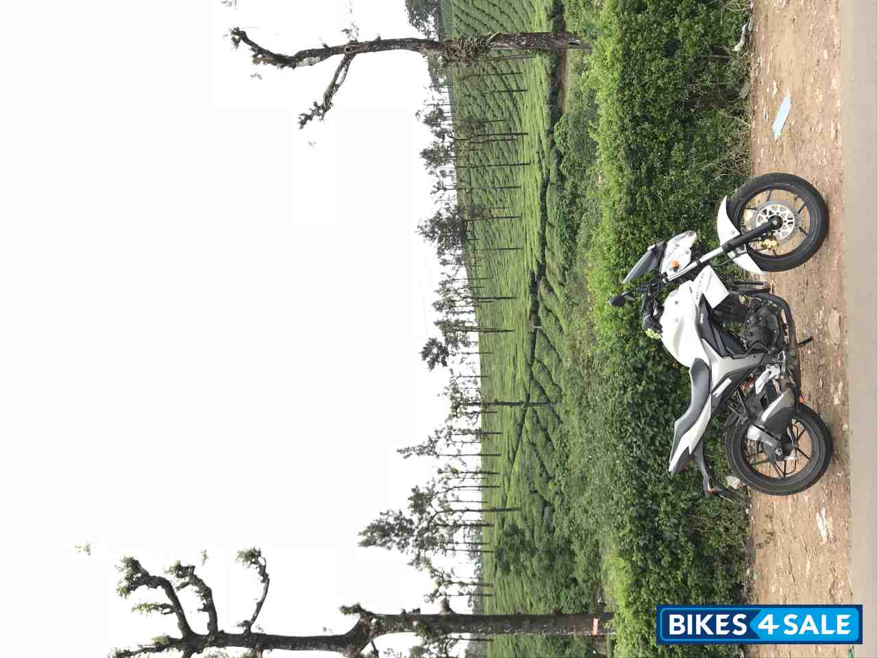 White Suzuki Gixxer 150