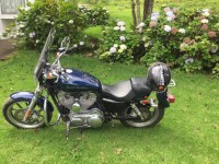 Pearl Blue Harley Davidson XL 883L Sportster