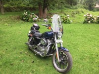 Pearl Blue Harley Davidson XL 883L Sportster