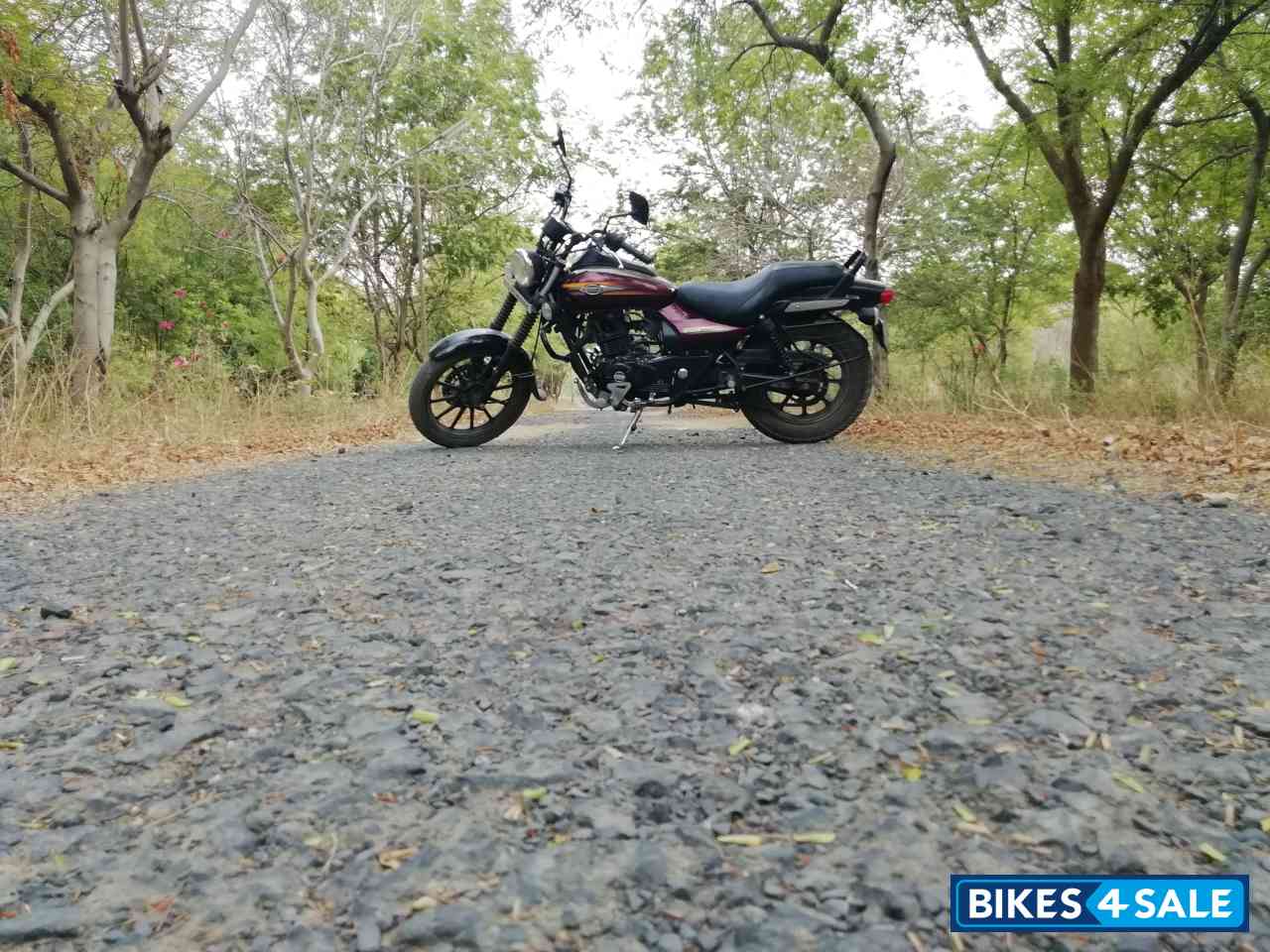 Bajaj Avenger Street 150