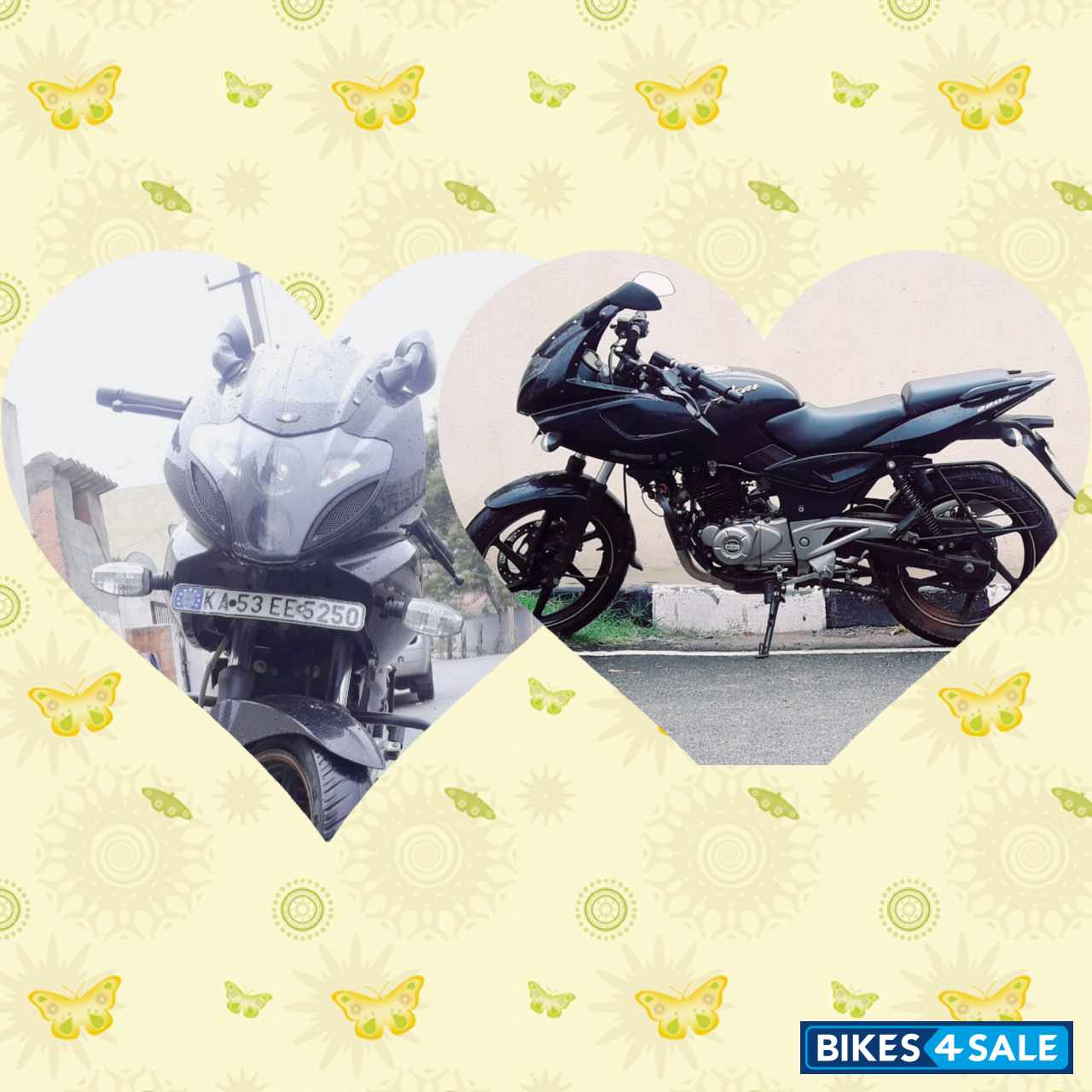 Black Bajaj Pulsar 220 DTSFi