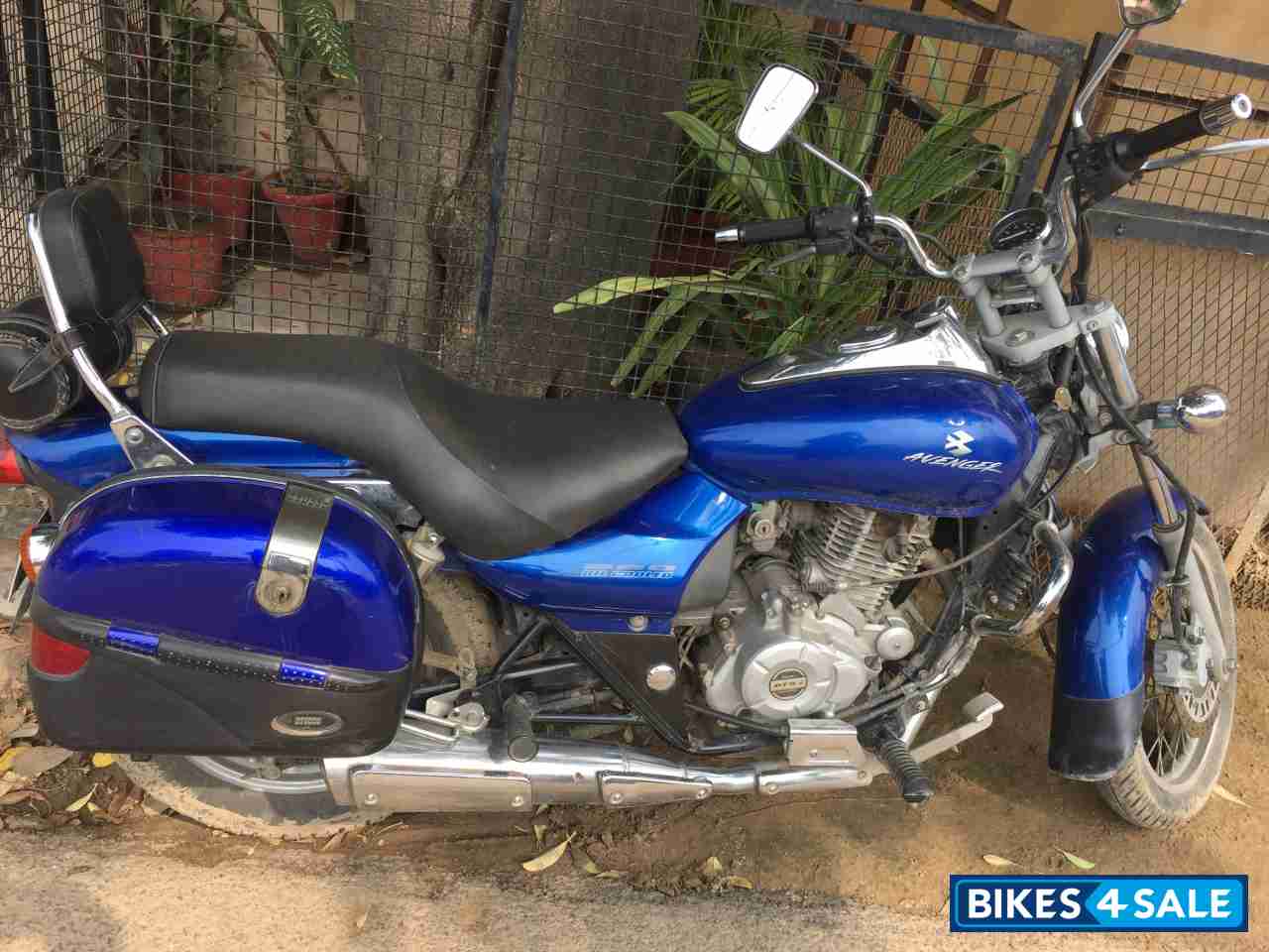 Blue Bajaj Avenger 220 DTS-i