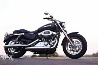 Harley Davidson 1200 Custom 2017 Model