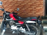 Red Black Bajaj V15