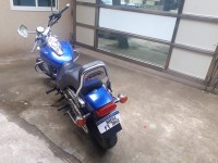 Blue Bajaj Avenger 220 DTS-i