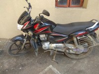 Honda CB Shine 2010 Model