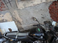 Black Bajaj Pulsar 150 DTSi