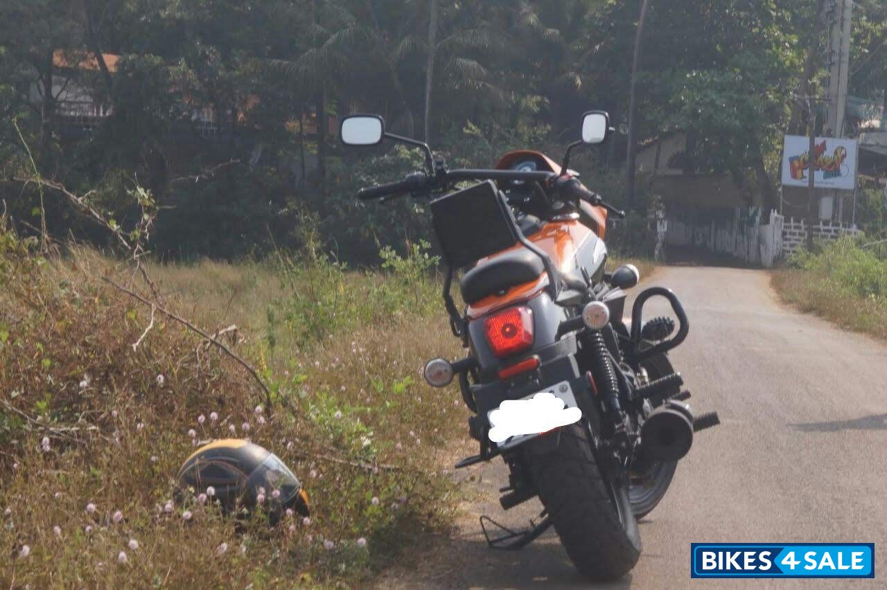 UM Renegade Sports S