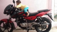 Bajaj Pulsar 180 DTSi 2014 Model