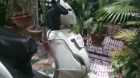 Honda Activa 3G