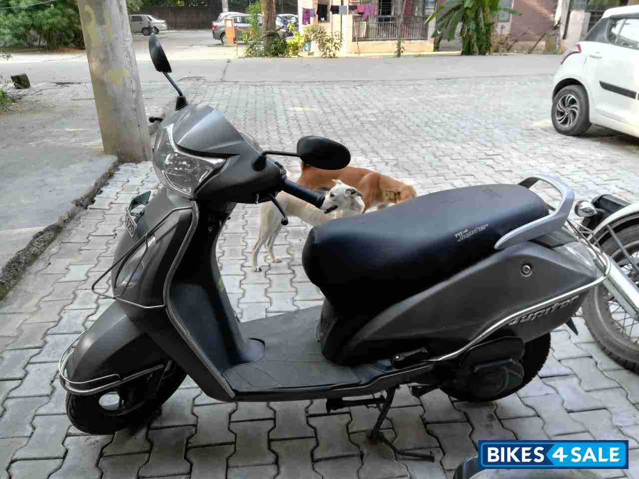 TVS Jupiter TVS Jupiter