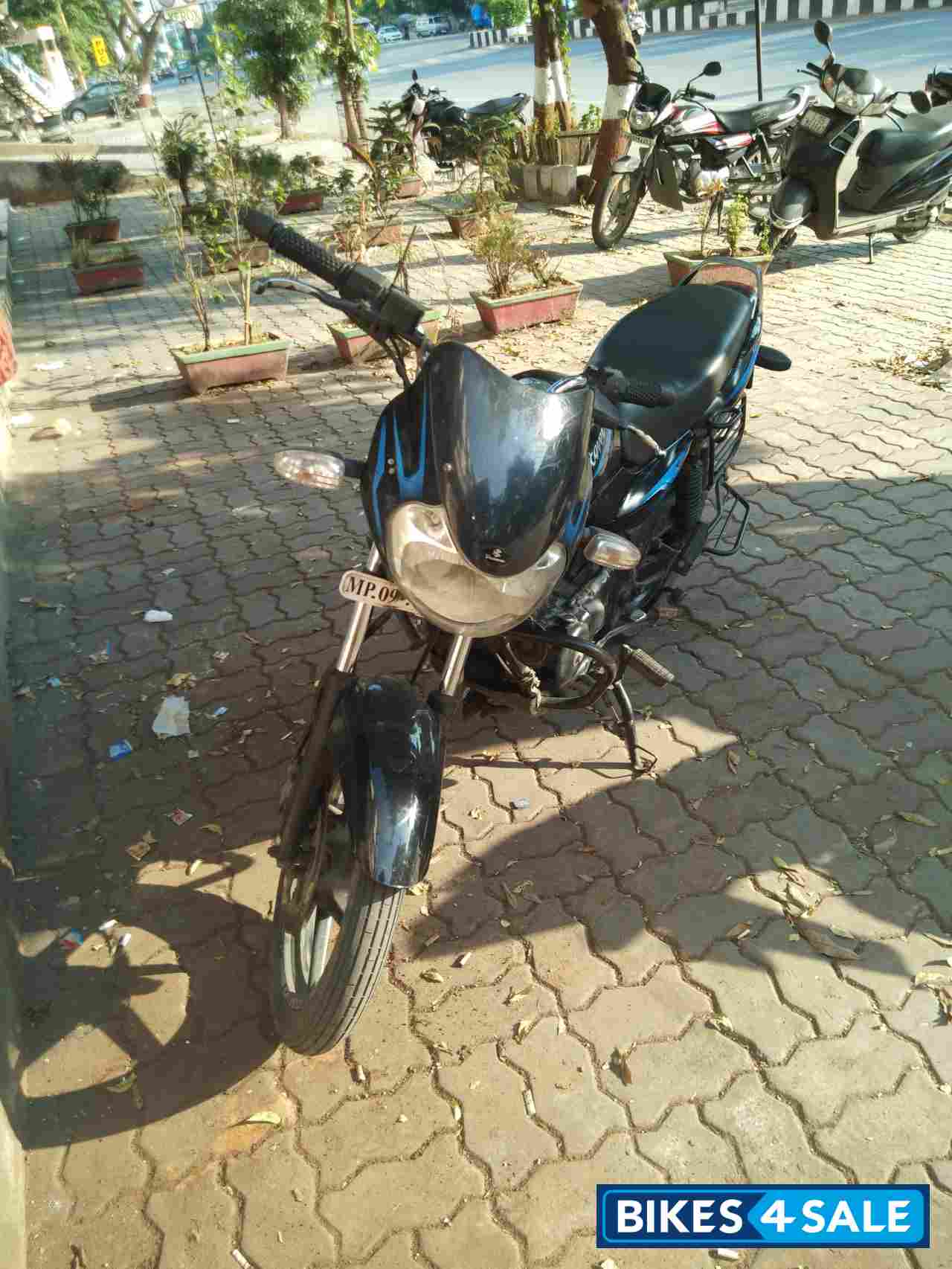 Black Blue Bajaj Discover DTSi 135
