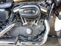 Sand Camo Harley Davidson Iron 883