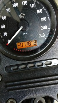 Sand Camo Harley Davidson Iron 883