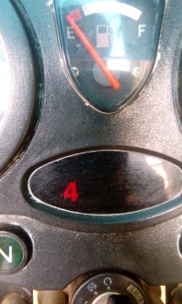 Black Vibgyor Hunter