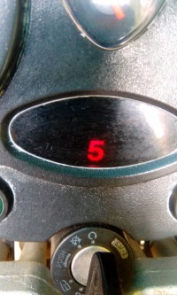 Black Vibgyor Hunter