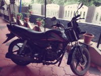 Honda CB Shine 2013 Model