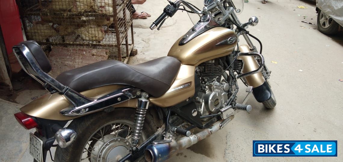 Golden Bajaj Avenger Cruise 220