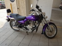 Purple Bajaj Avenger 220 DTS-i