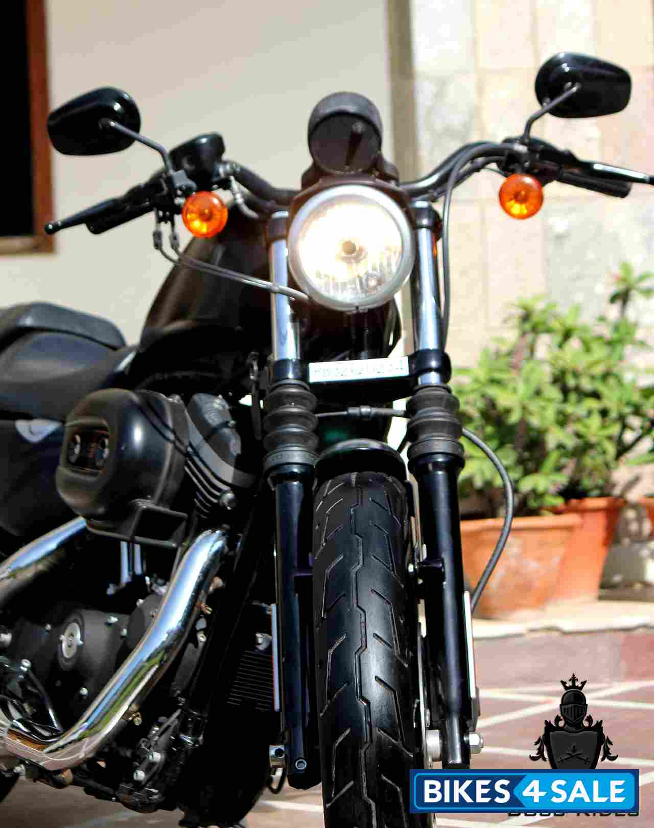 Matte Black Harley Davidson Iron 883